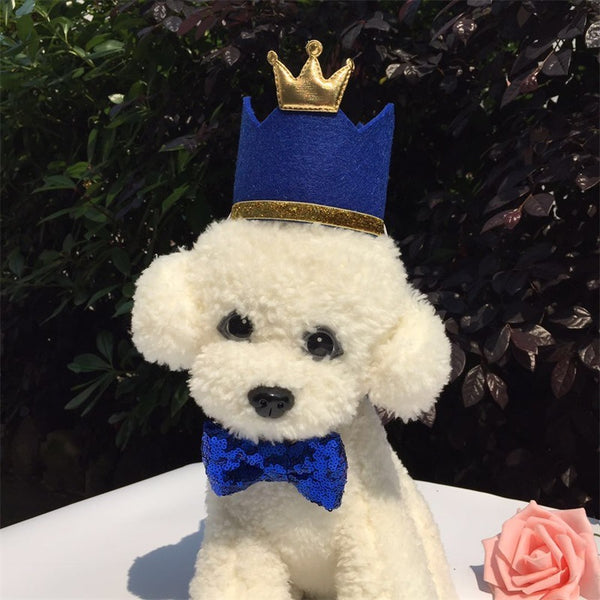 Cat Birthday Hat Pet Crown