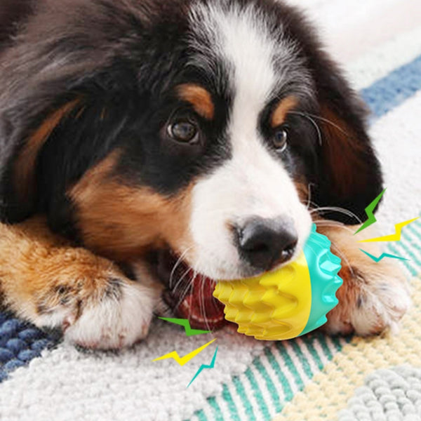 Sound Toothbrush Training Teether Ball
